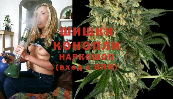 меф Ельня