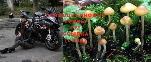 меф Ельня